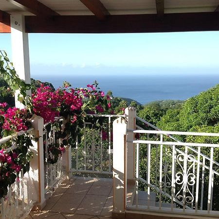 Villa Des Iles บาส-แตร์ ภายนอก รูปภาพ