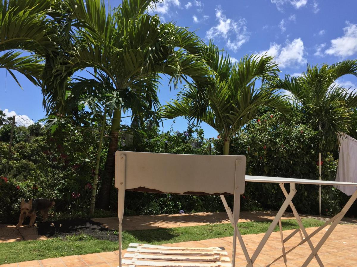 Villa Des Iles บาส-แตร์ ภายนอก รูปภาพ