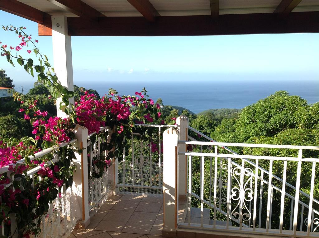 Villa Des Iles บาส-แตร์ ภายนอก รูปภาพ