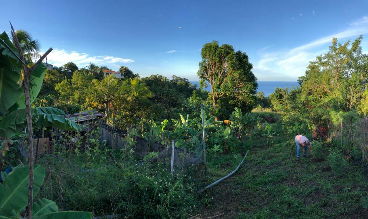 Villa Des Iles บาส-แตร์ ภายนอก รูปภาพ